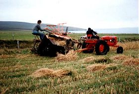 Geordie and his brother, Ernest, harvesting oat straw